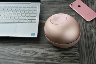 可联合控制智能设备，智能家居新中枢 若琪·月石智能语音助手深度体验测评